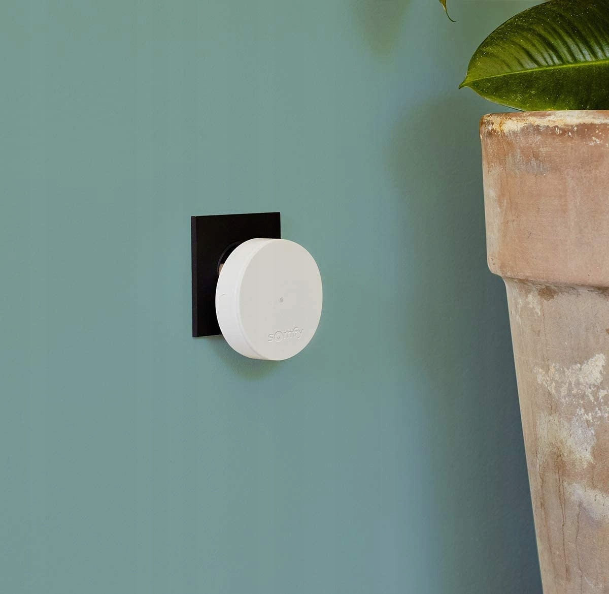 Wykrywanie selektywne