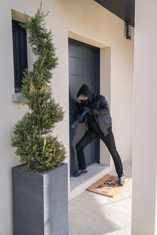 Somfy_1870631_zamek_sterowany_smartfonem_door_lock_23