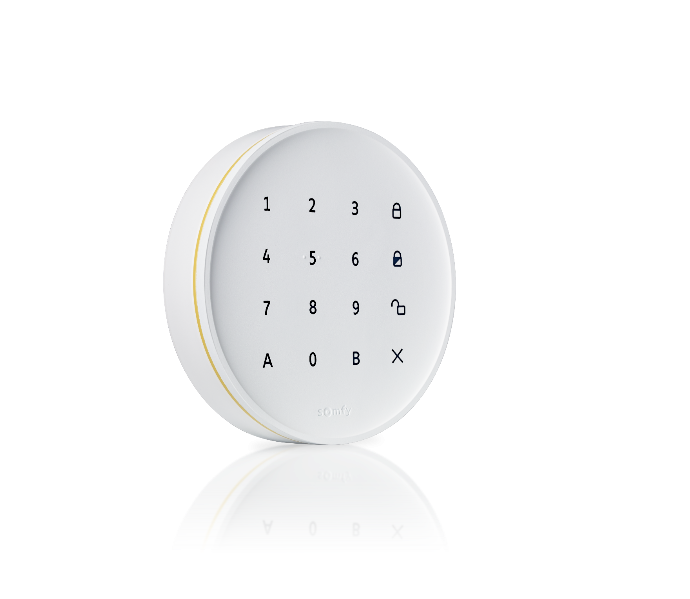 Zestaw: Home Alarm Advanced Max + Kamera zewnętrzna biała - 1875254-1875345-zestaw - 5 - Somfy