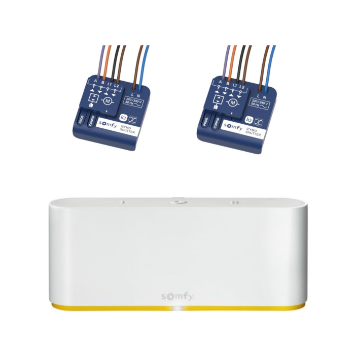 Zestaw: TaHoma Switch + Odbiornik do rolet IZYMO io 2 szt. Somfy