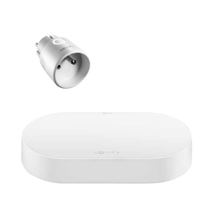 Zestaw: Connectivity kit + Odbiornik do gniazdka on/off Somfy