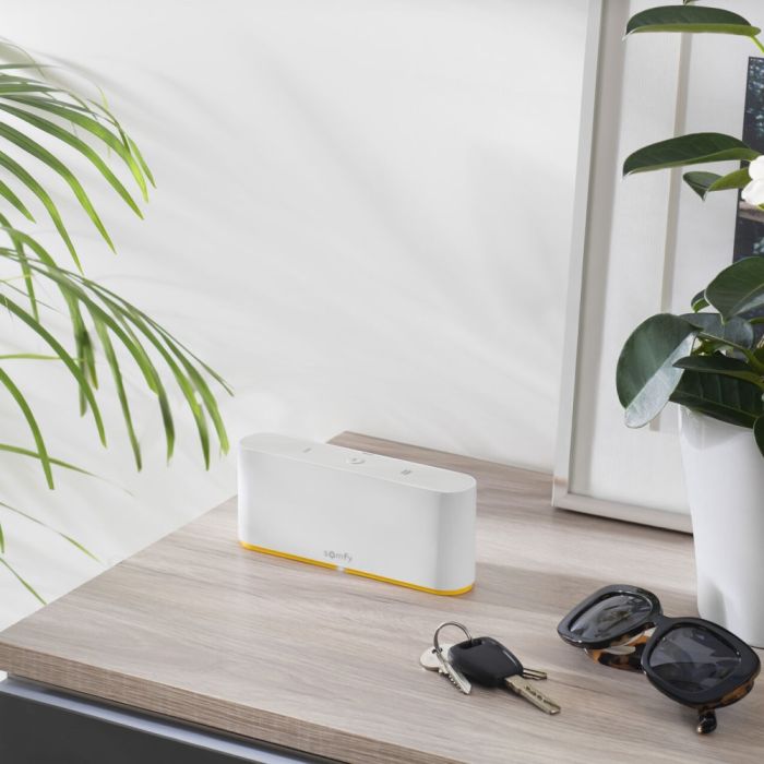 Somfy
Centrala sterujaca Tahoma Switch