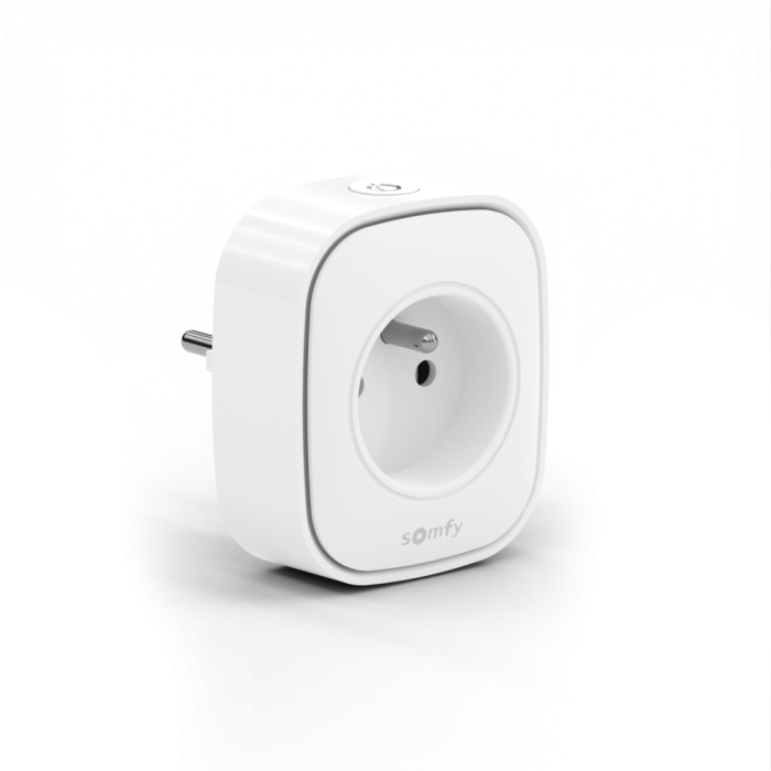 Gniazdo Zigbee typ E