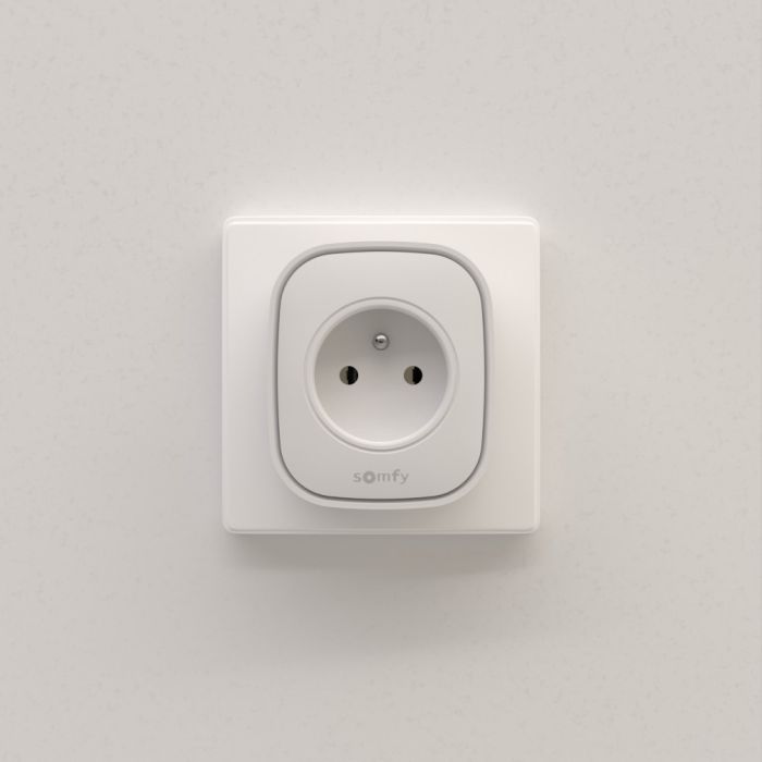 Gniazdo Zigbee typ E