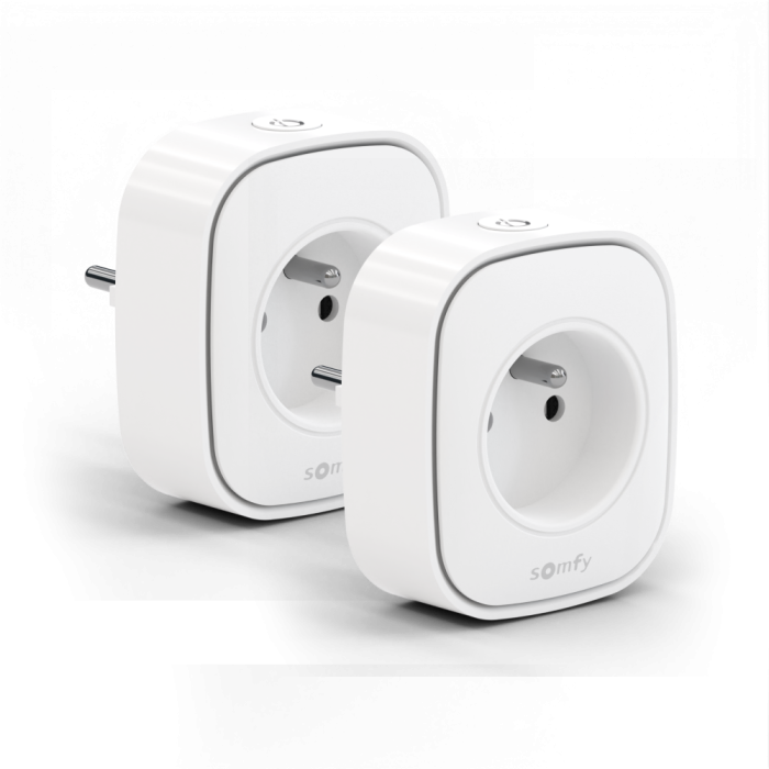 Gniazdo Zigbee typ E 2 szt Somfy