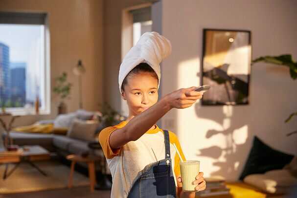 somfy_1870642_pilot_situo_